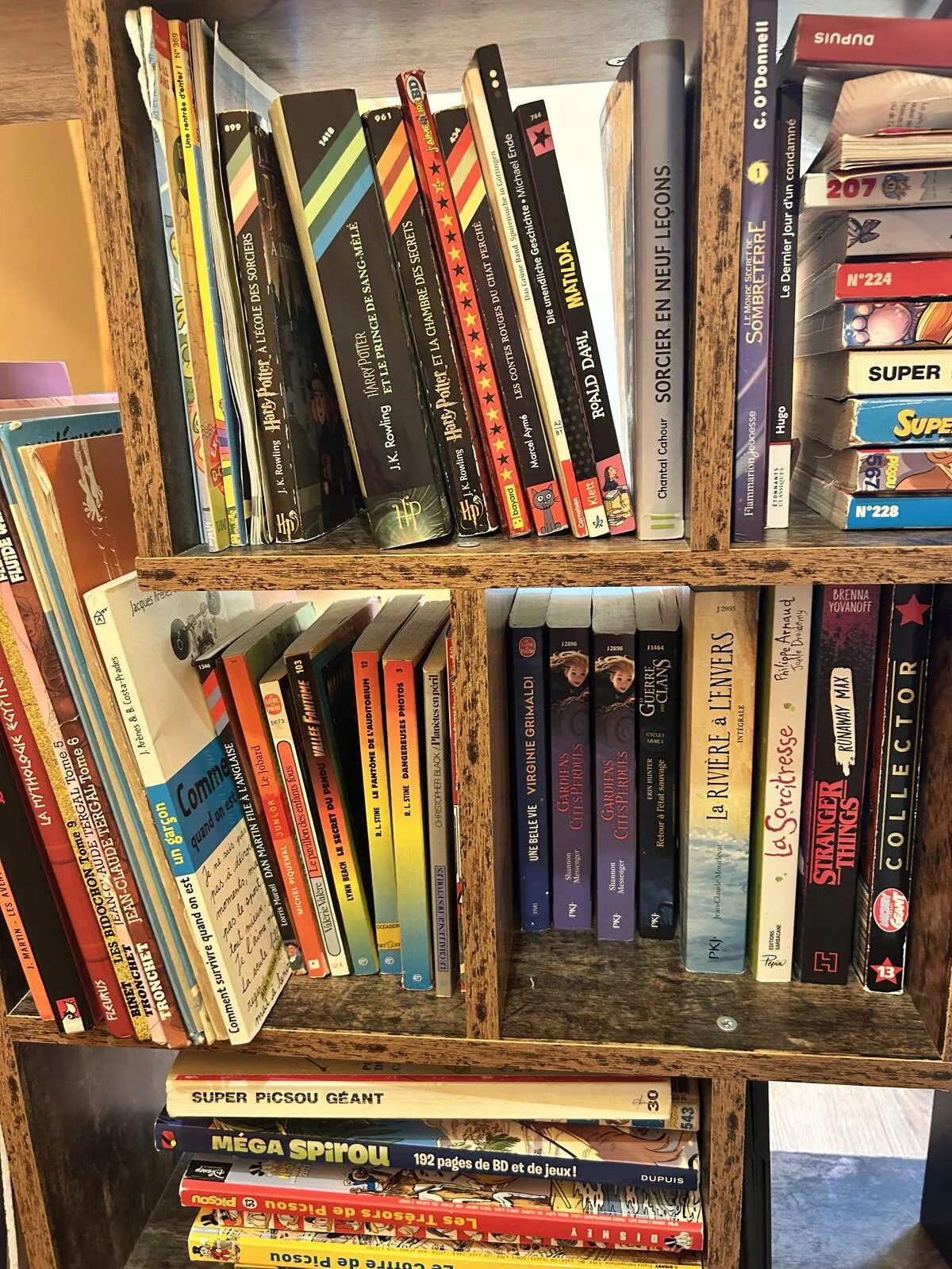 Bookshelf full of books