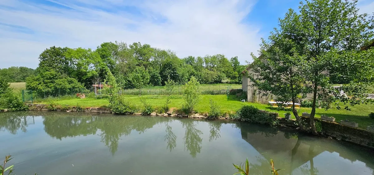 The mill and its pond surrounded by greenery