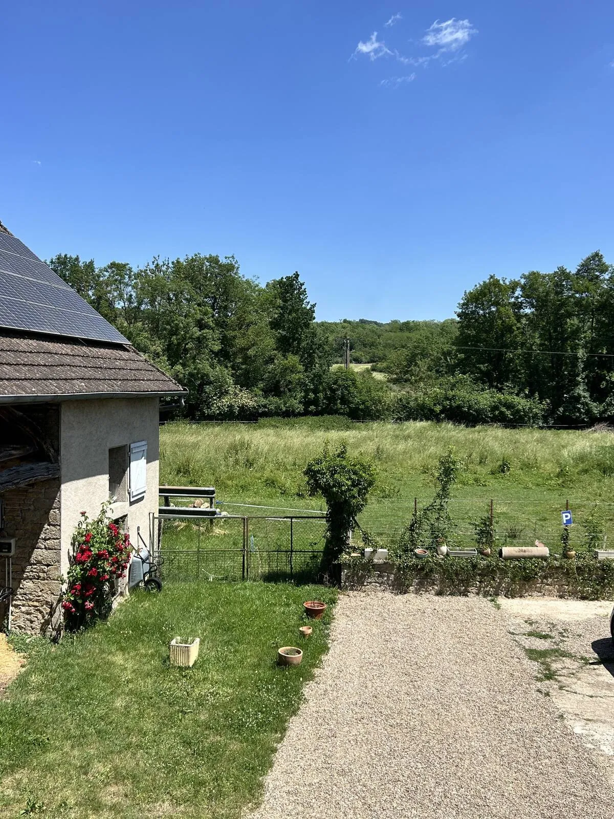 Lush garden of the property