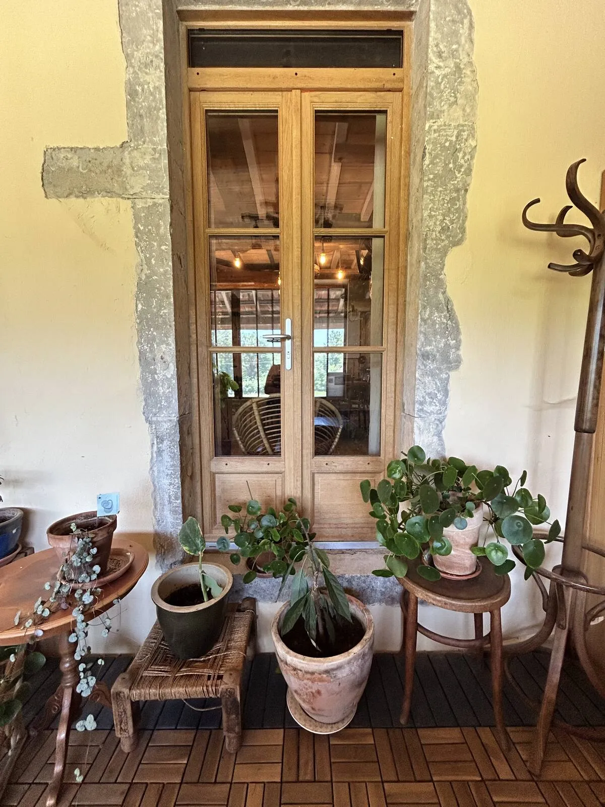 Conservatory corner with antique cabinet and plants